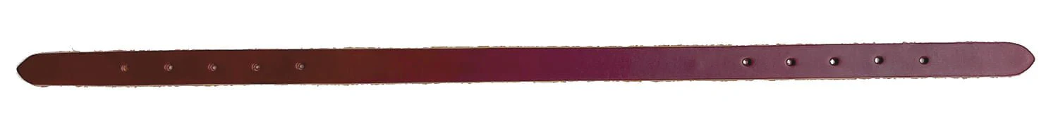 Valhoma Replacement Leather Crown - Pet's Shop