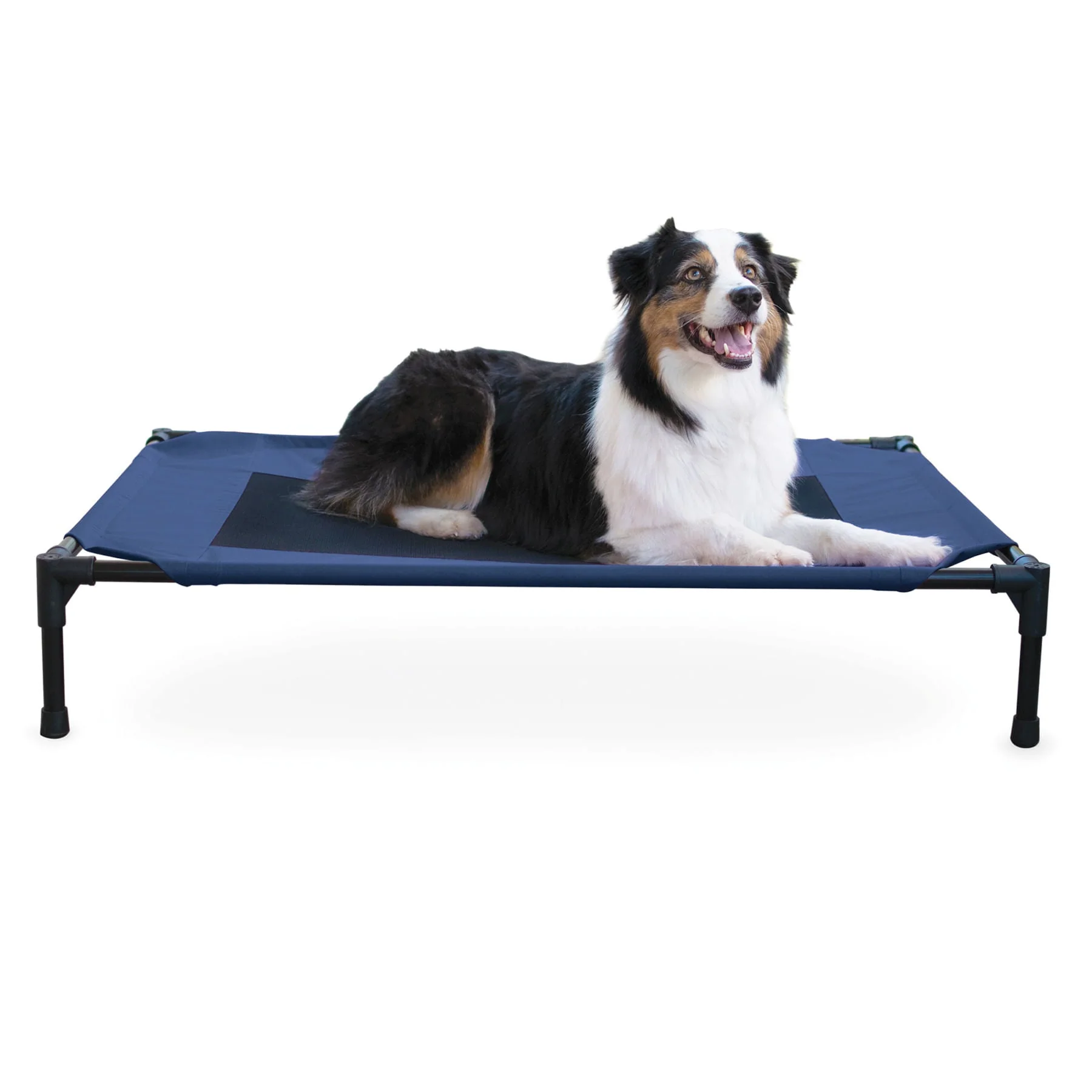 K&H Elevated Dog Bed, Small to X-Large - Pet's Shop