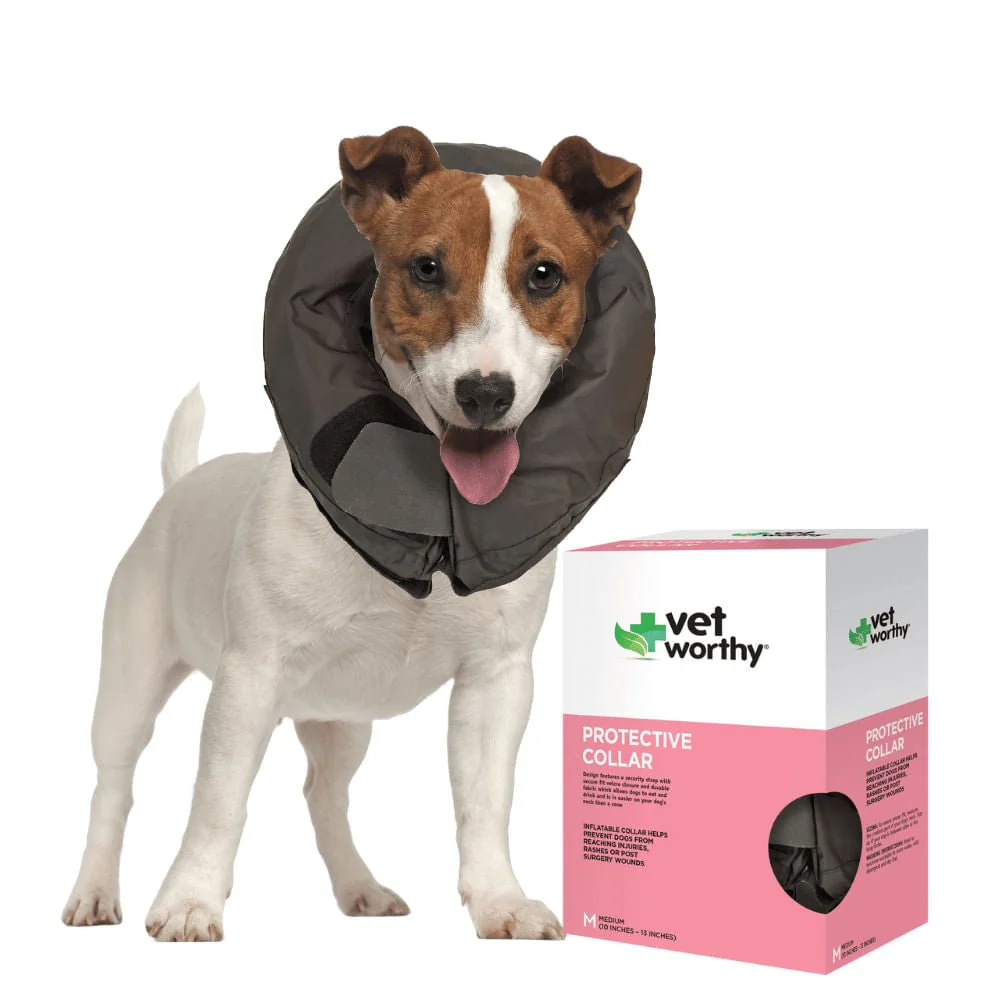Vet Worthy Inflatable Collar, Black - Pet's Shop