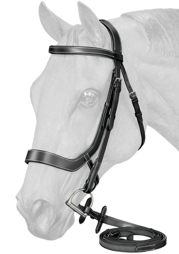 Equitare Cadence Ergonomic Bridle - Pet's Shop