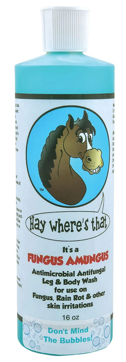 It's A Fungus Amungus, 16 oz - Pet's Shop