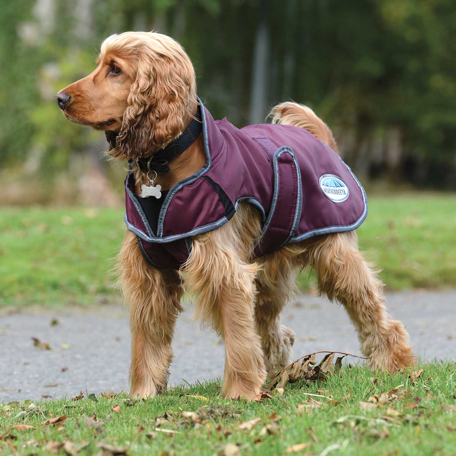 WeatherBeeta ComFITec Windbreaker Free Deluxe Dog Coat, Maroon/Gray/White - Pet's Shop