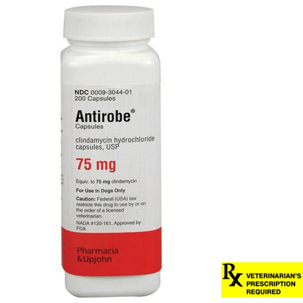 Rx Antirobe (clindamycin hydrochloride) Capsules for Dogs - Pet's Shop