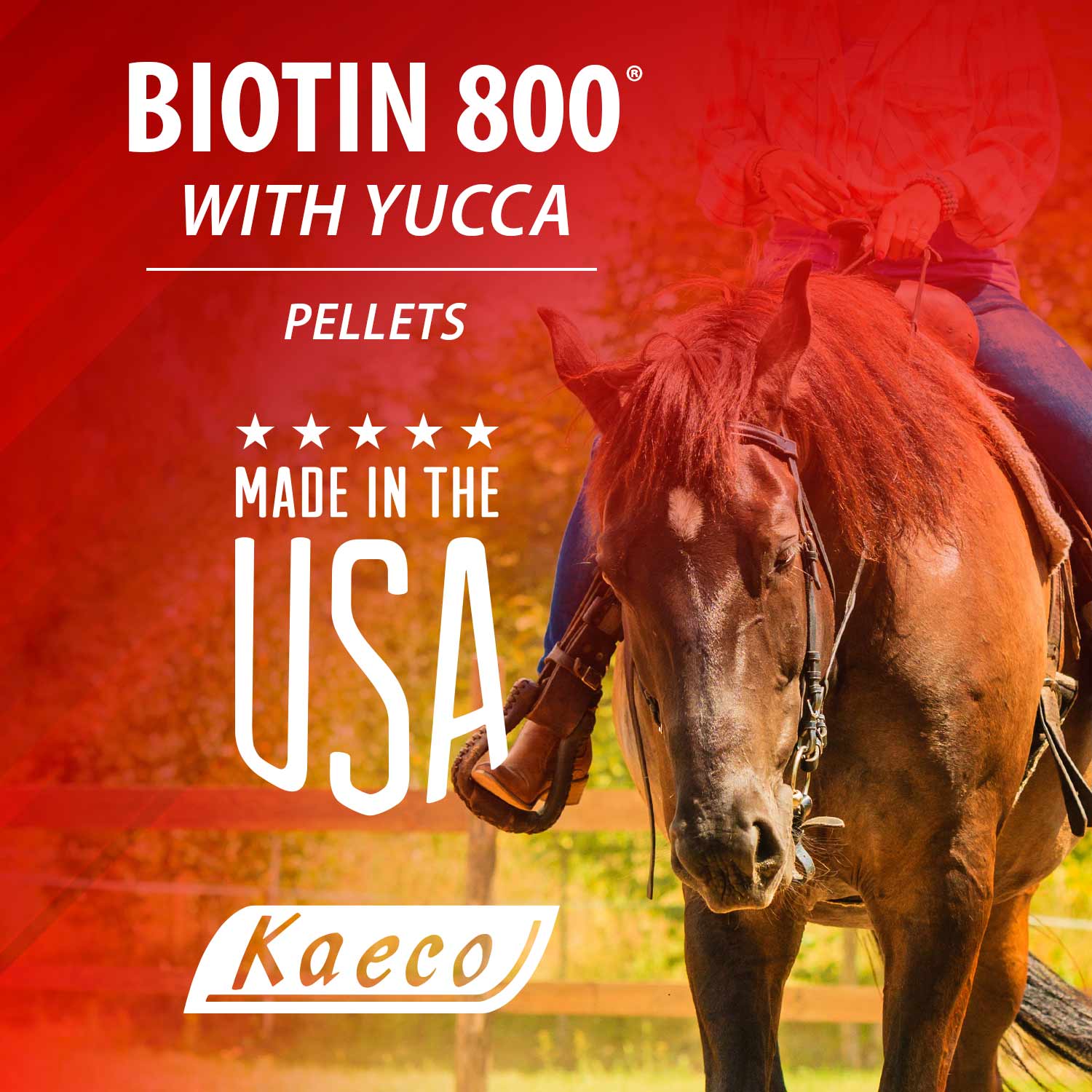 Biotin 800 Pellets Equine Supplement - Pet's Shop