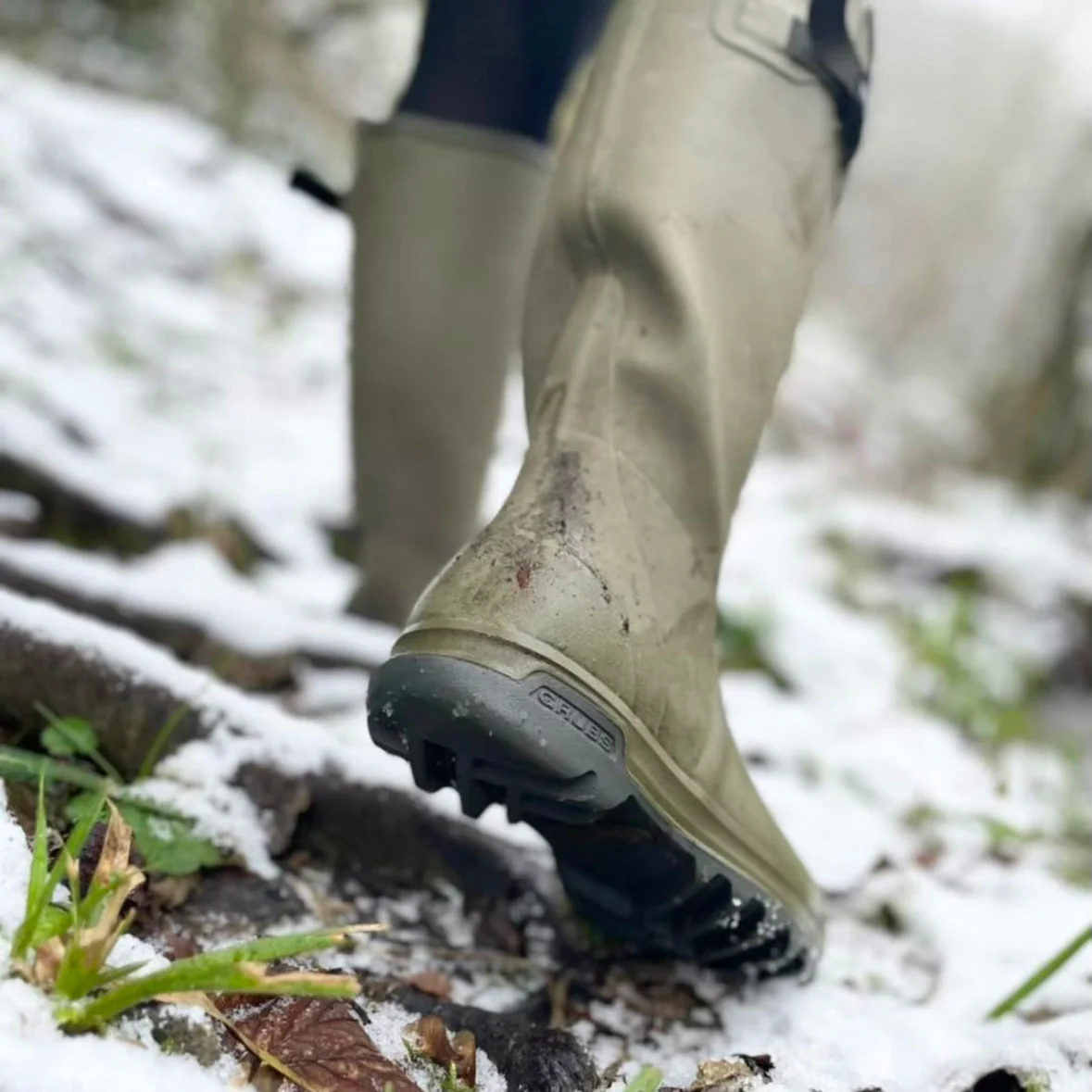 Grubs Highline High Boot - Pet's Shop