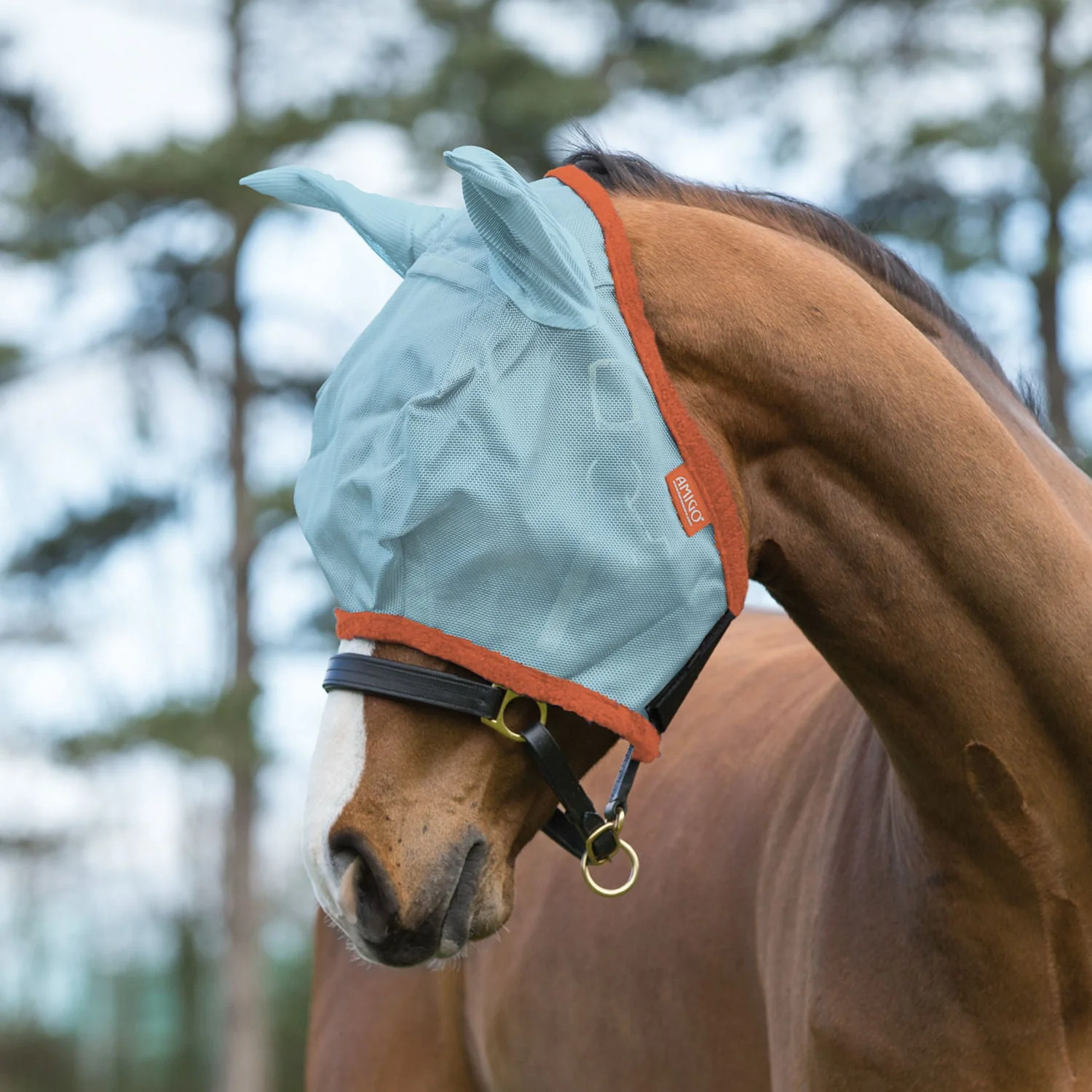 Amigo Horse Fly Mask with Ears, Aqua/Orange - Pet's Shop