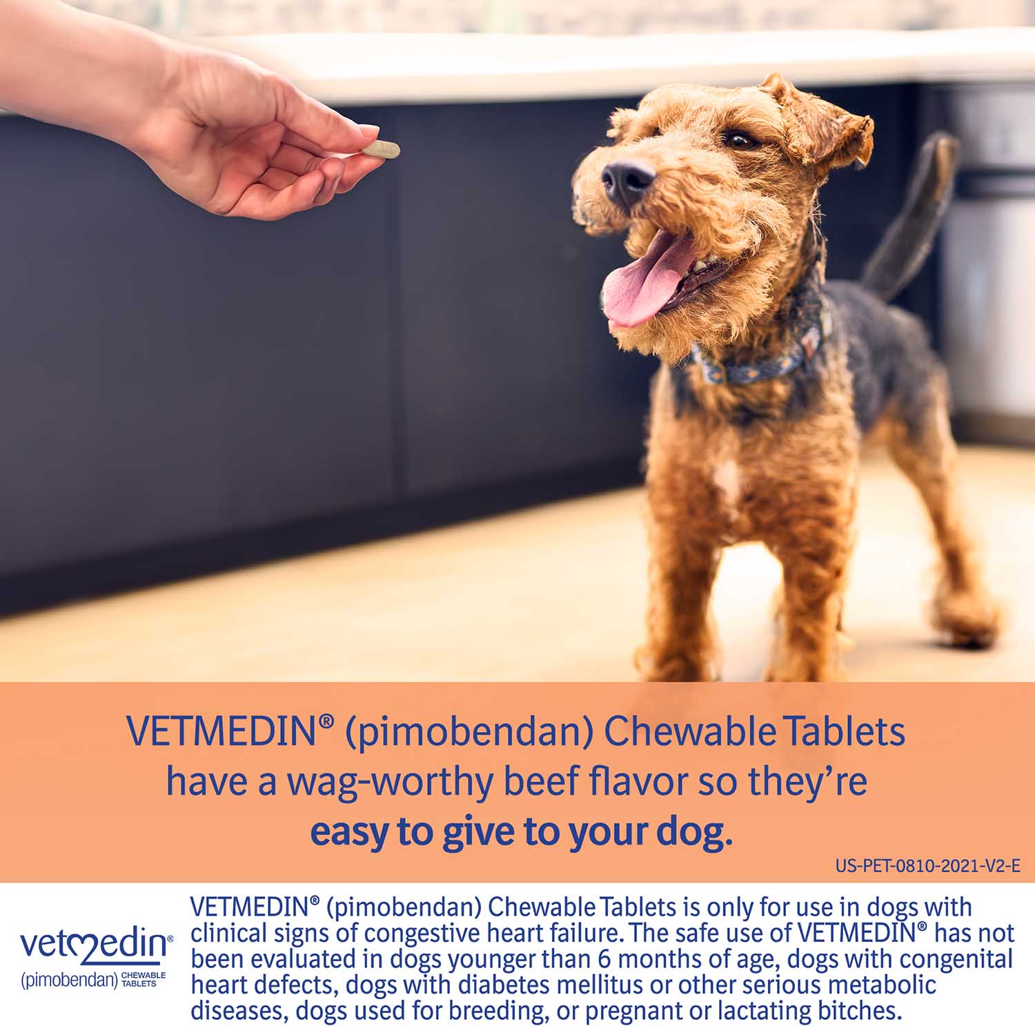 Rx Vetmedin (pimobendan) Chewable Tablets for Dogs - Pet's Shop