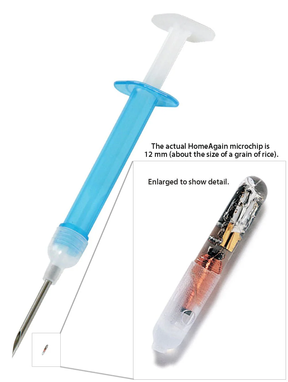 HomeAgain Pet Recovery System - Pet's Shop