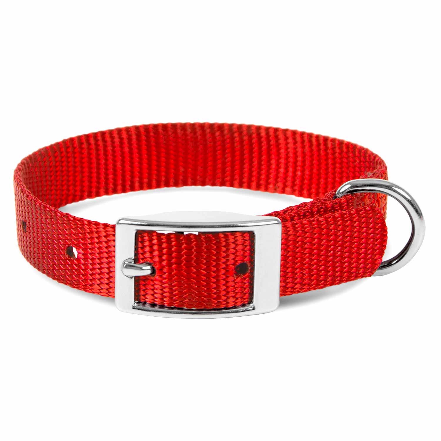 Web Nylon Dog Collar, 5/8