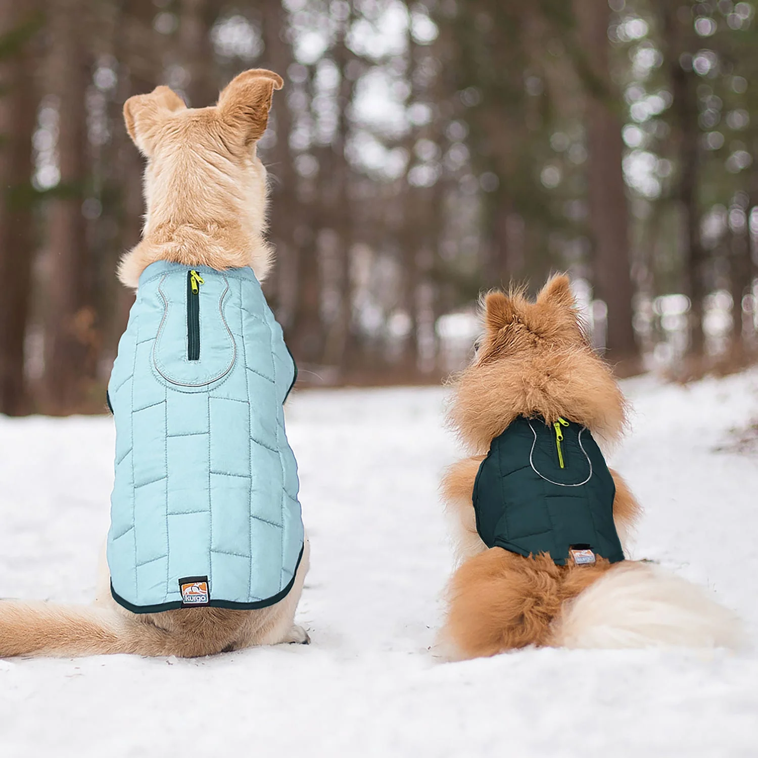 Kurgo Reversible Loft Jacket - Pet's Shop