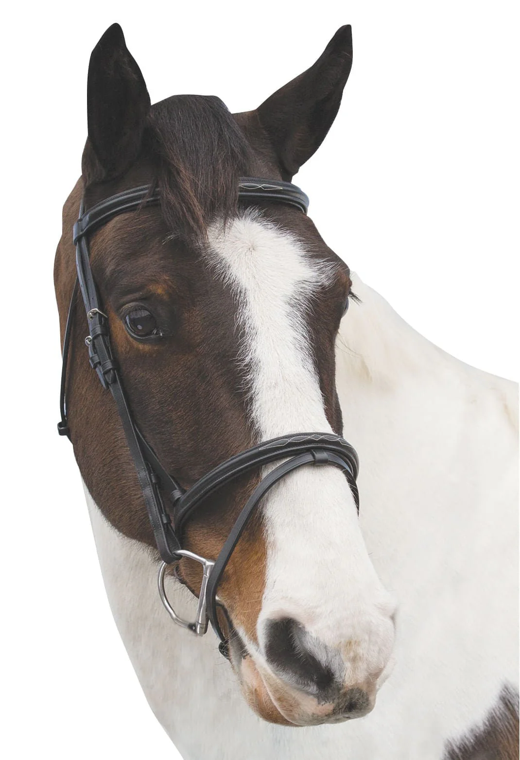 Loveson Elegance Bridle - Pet's Shop