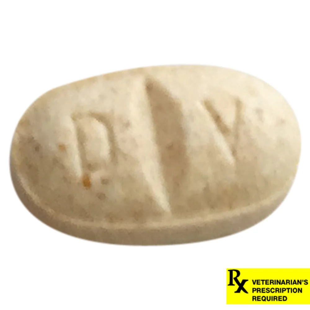 Rx Clomicalm (Clomipramine HCl) Tablets for Dogs - Pet's Shop