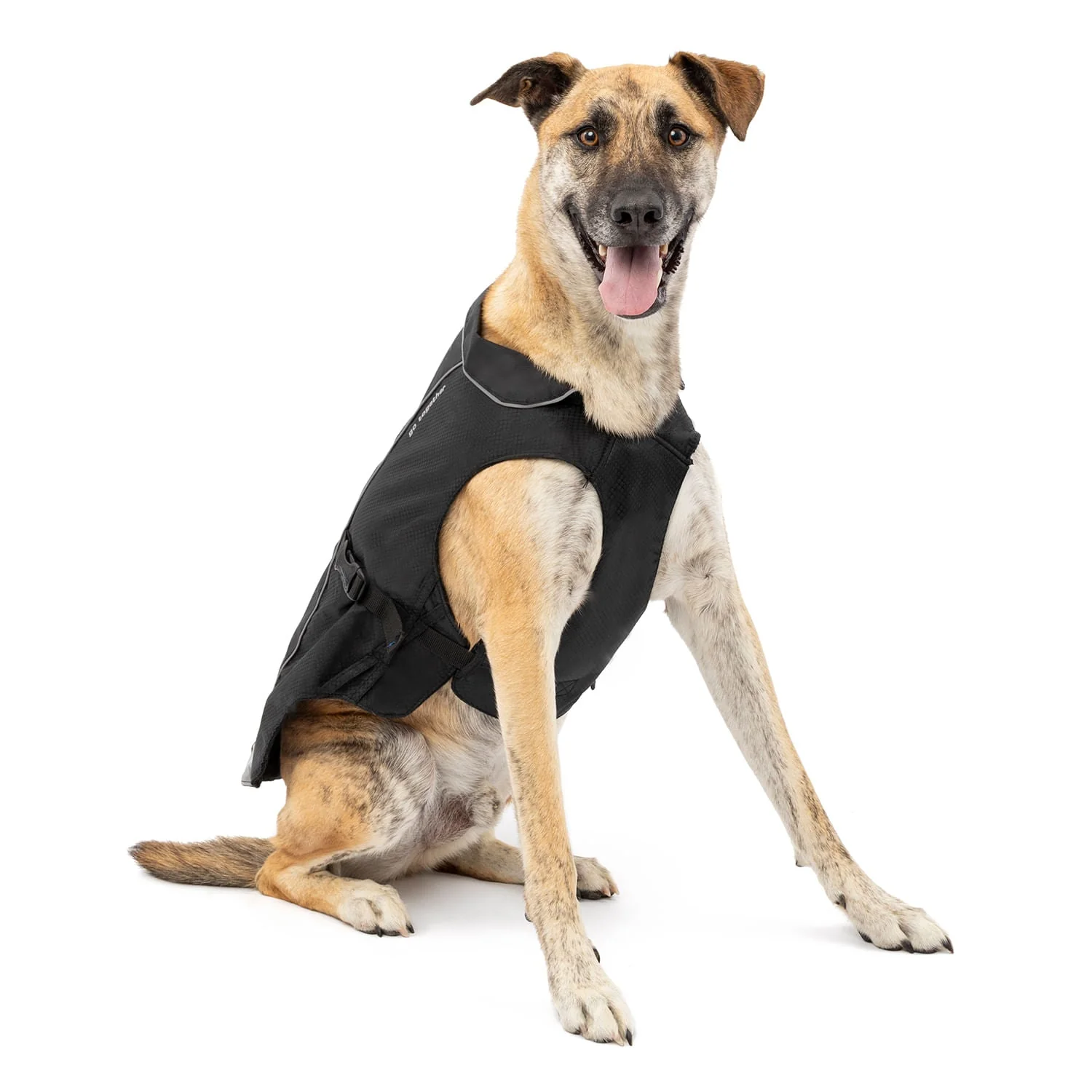 North Country Coat - Pet's Shop