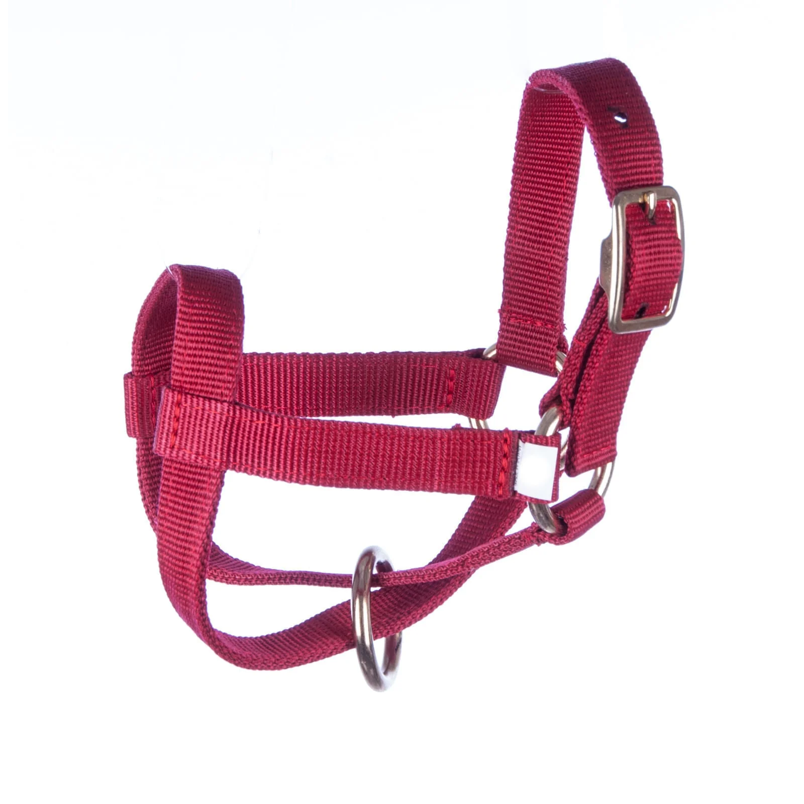 Goat Halter - Pet's Shop