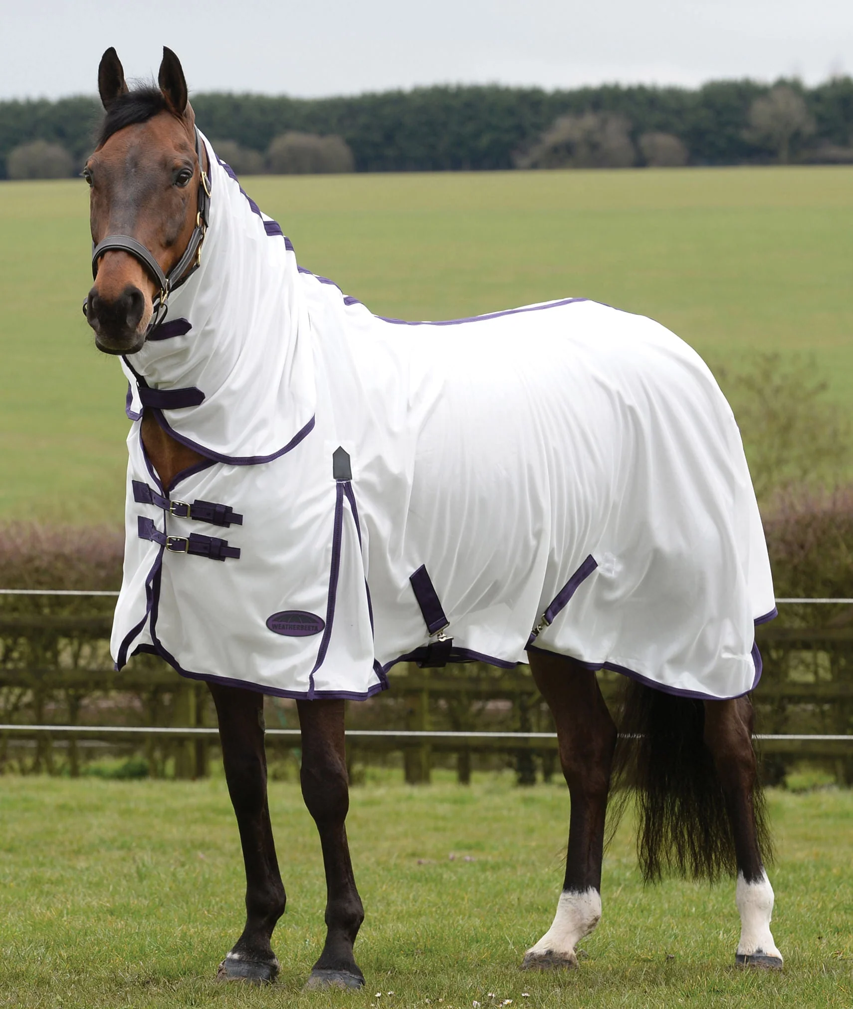 WeatherBeeta ComFITec Essential Mesh II Combo Neck Fly Sheet - Pet's Shop