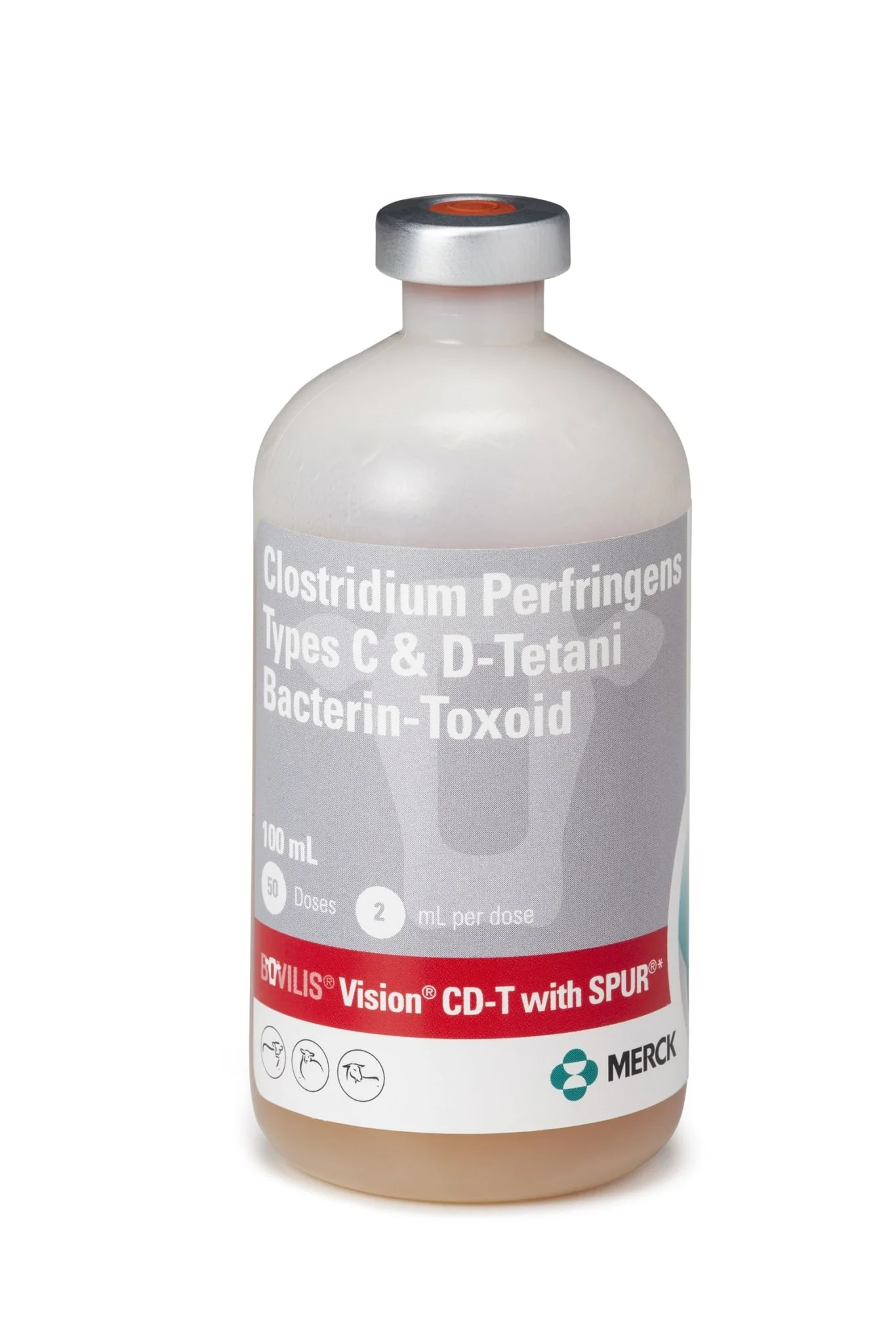 Bovilis Vision CD-T with Spur - Pet's Shop