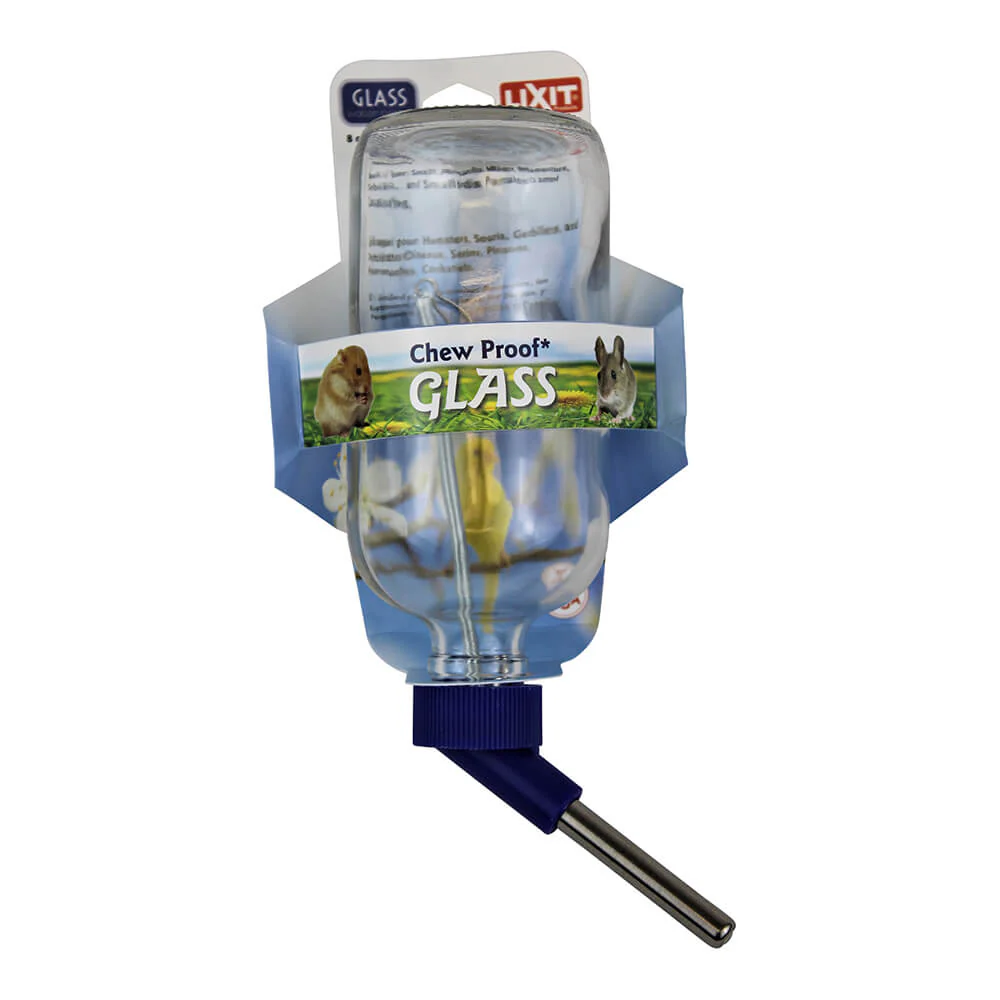 Lixit Glass Water Bottle, 8 oz - Pet's Shop