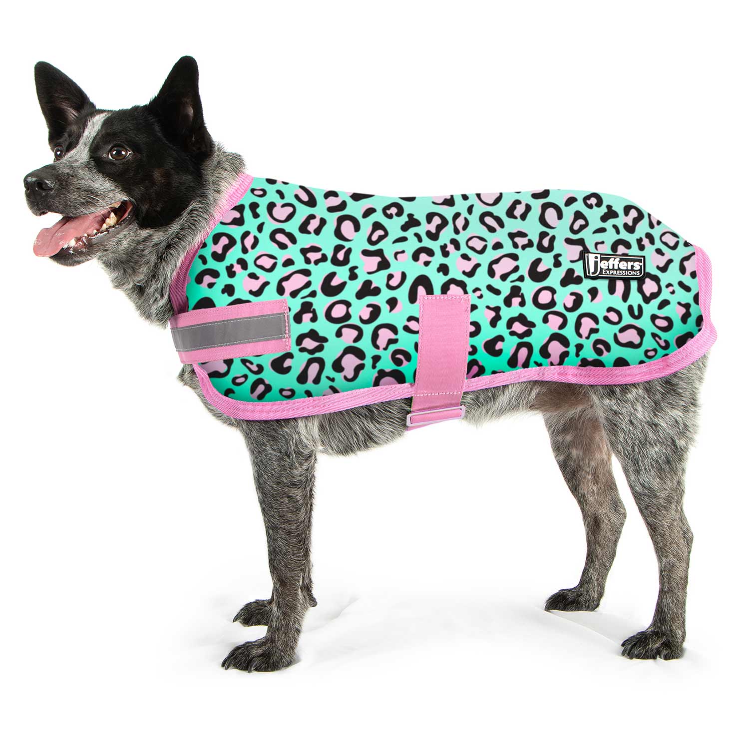 Expression Fleece Dog Coat, Party Cheetah - Pet's Shop