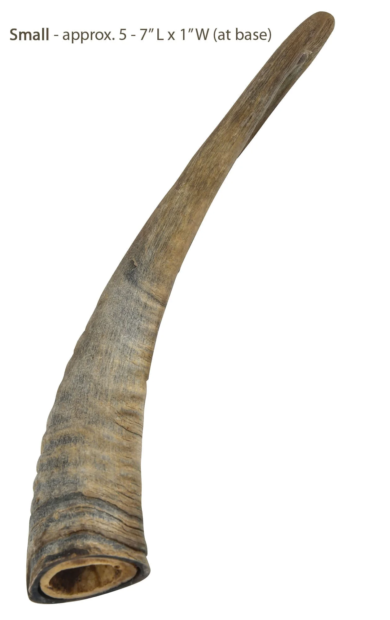 Gobi Goat Horn Natural Dog Chew - Pet's Shop