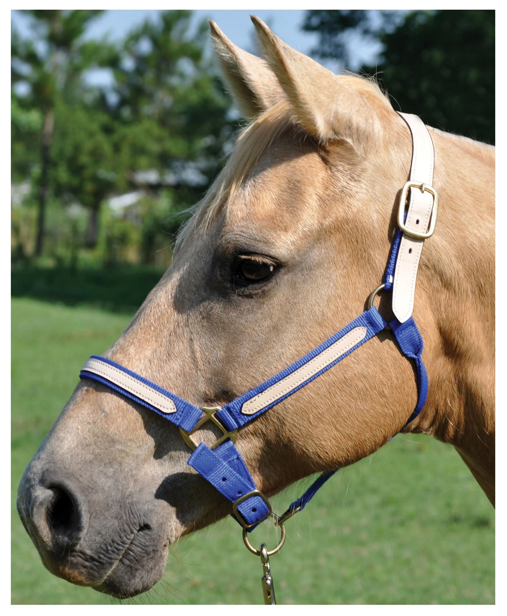 Tough1 Leather Overlay Breakaway Horse Nylon Halter - Pet's Shop