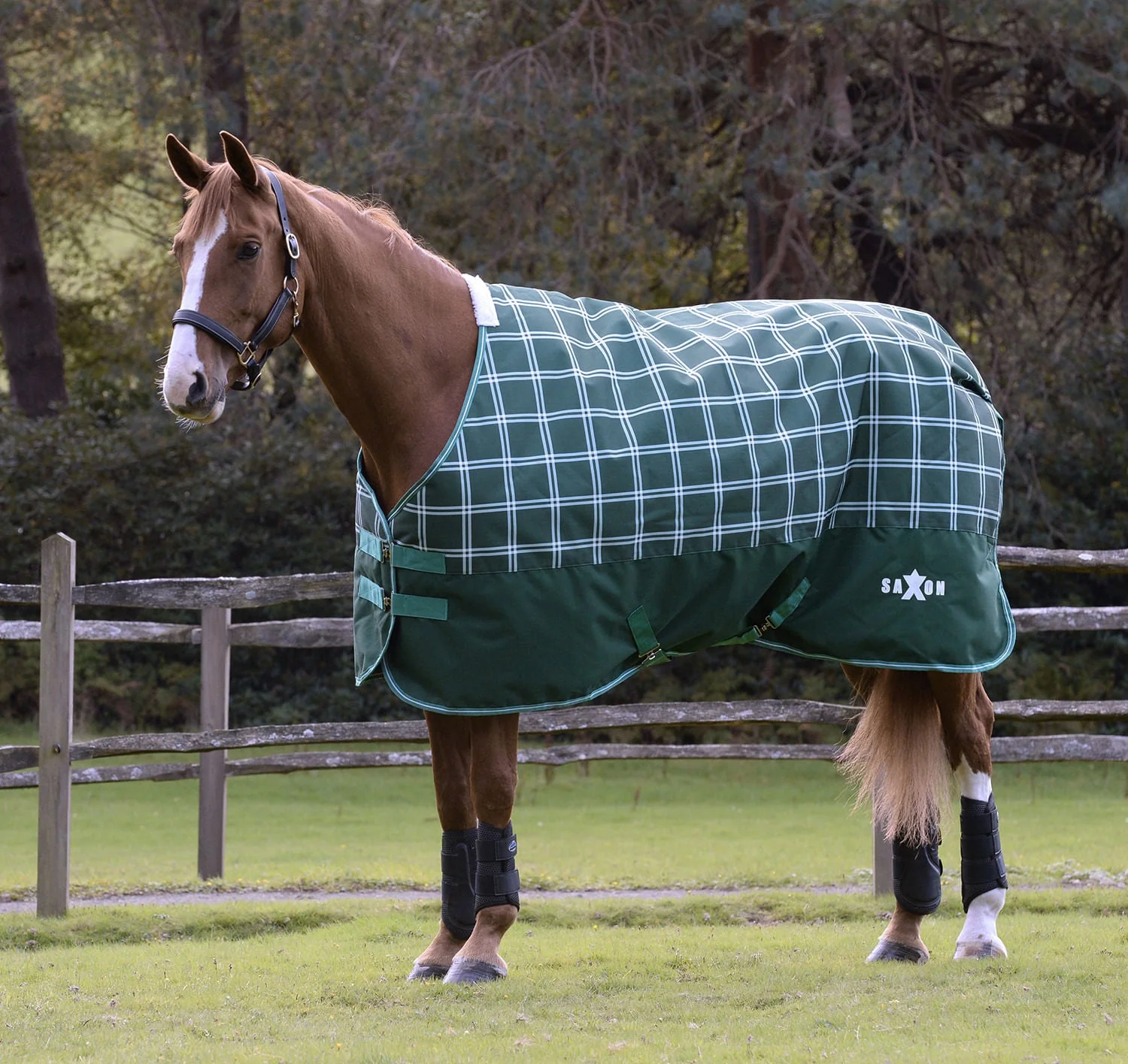 Saxon Defiant 1200D Standard Neck Horse Turnout, Medium, Hunter Green Plaid - Pet's Shop