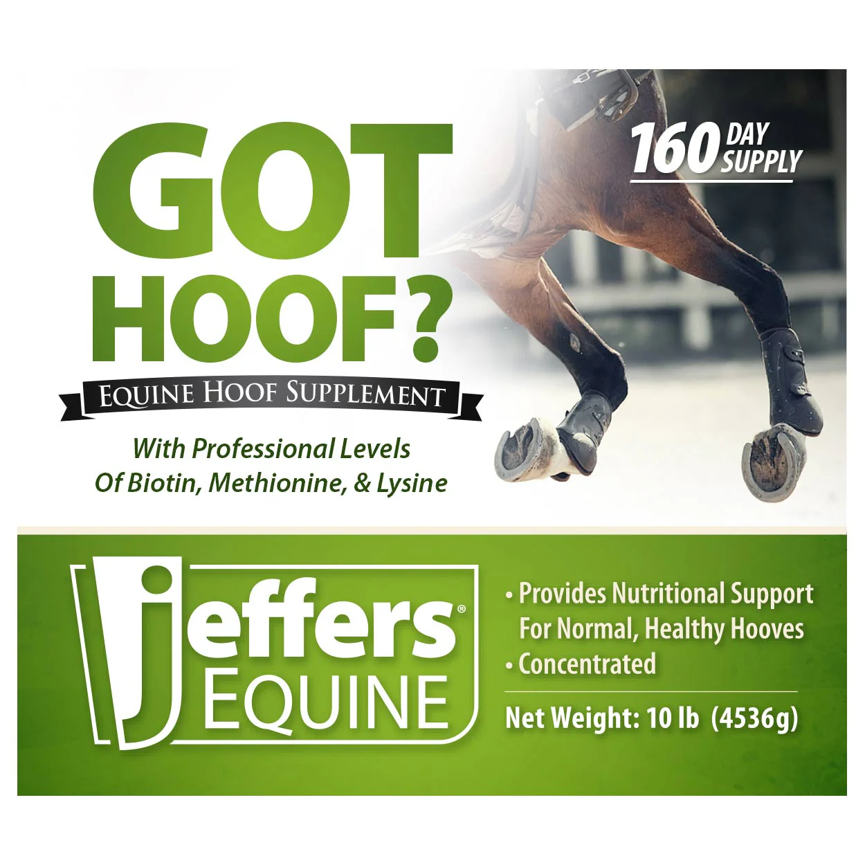 Got Hoof? Concentrated Equine Hoof Supplement - Pet's Shop