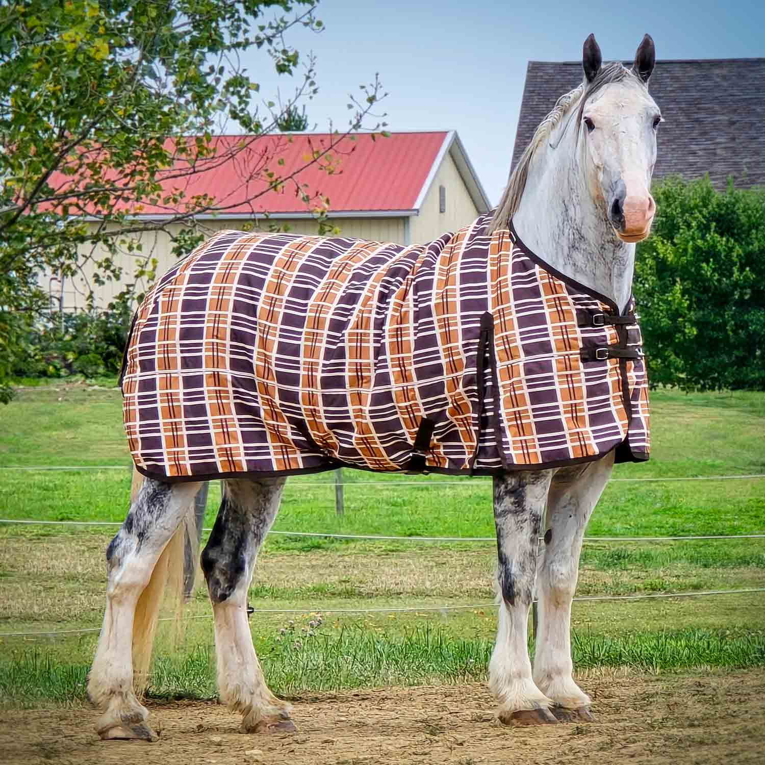Solaris 1200 Denier Draft Horse Turnout Sheet, 0g Fill, Brown & Cream Plaid - Pet's Shop
