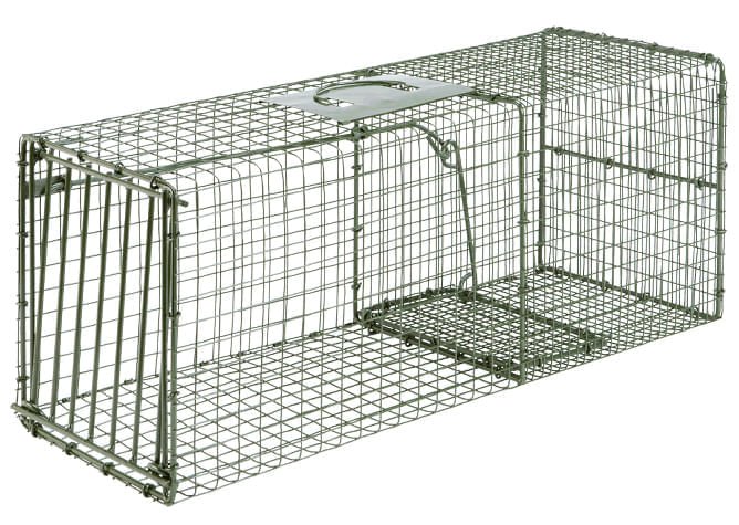 Duke Cage Traps Humane Live Animal  Catch Cage - Pet's Shop