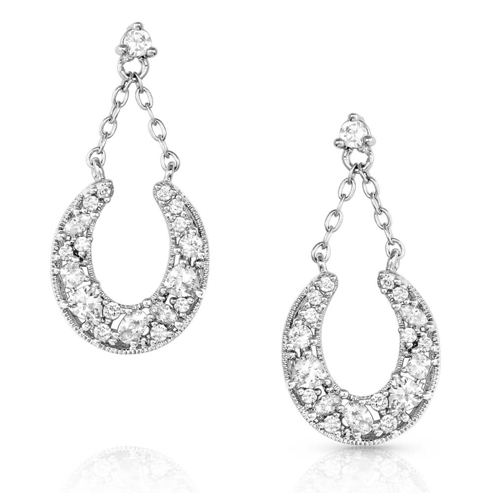 Intentional Luck Crystal Drop Earrings - Pet's Shop