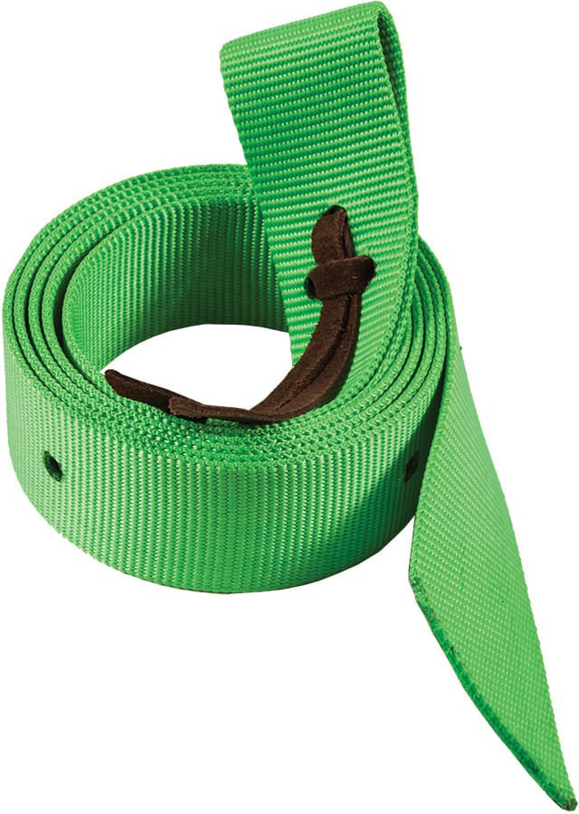 Mustang Neonz 6 Foot Nylon Tie Strap w/ Leather Tie - Pet's Shop