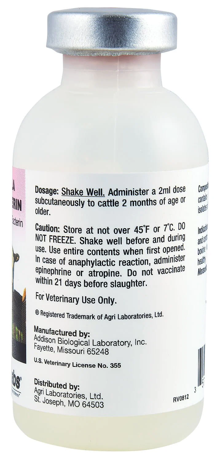 I-SITE XP - Pet's Shop