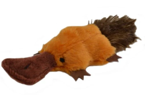 Platty Pup - Pet's Shop