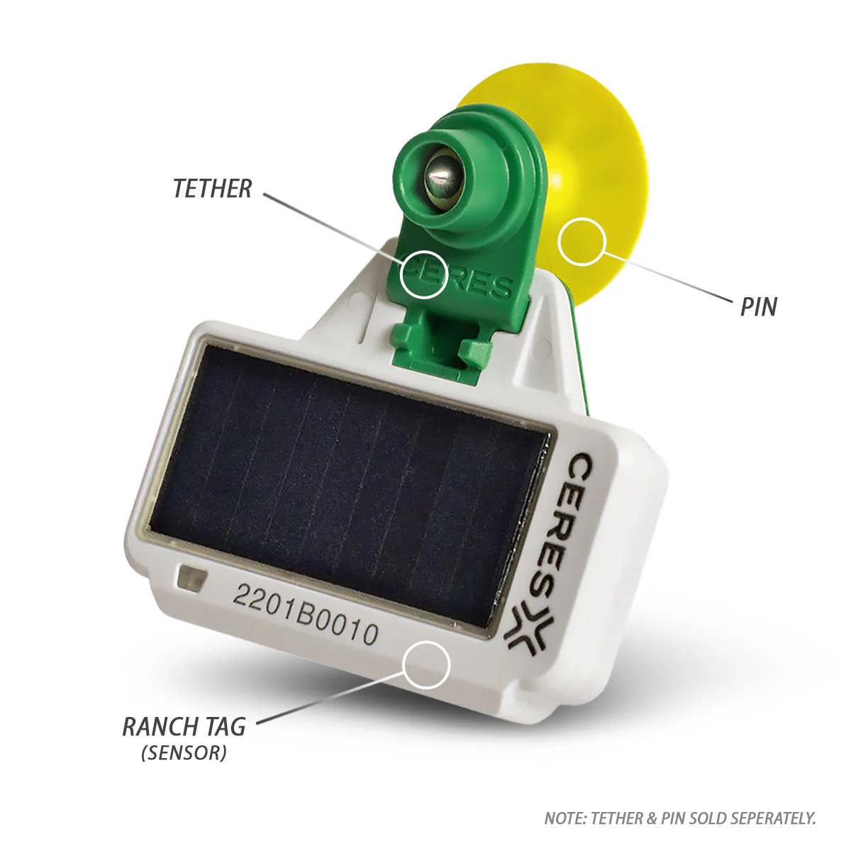 CERES RANCH PFI Identification Tags - Pet's Shop