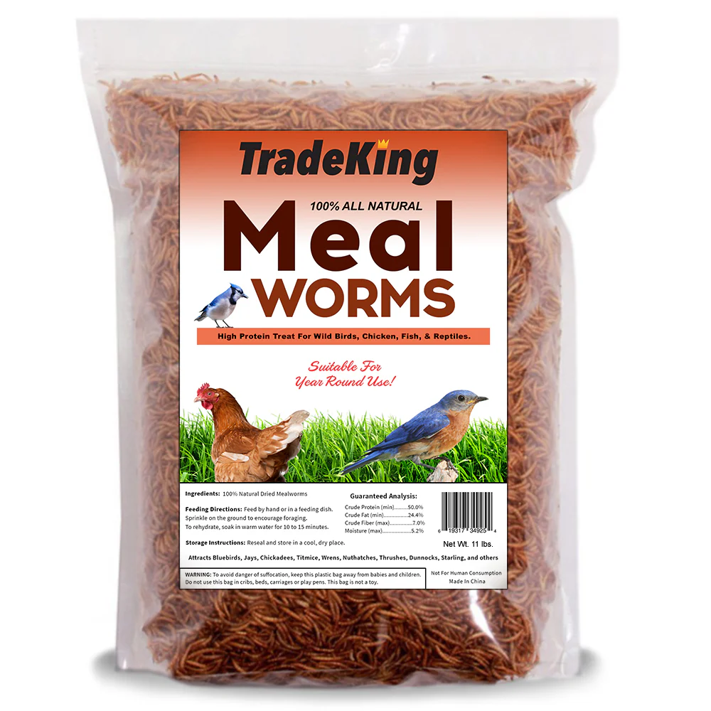Dried Mealworms - Pet's Shop
