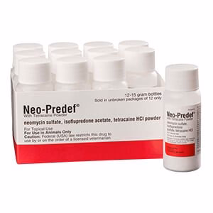 Rx Neo-Predef w/ Tetracaine Topical Powder for Horses, Dogs, & Cats, 15 gram - Pet's Shop