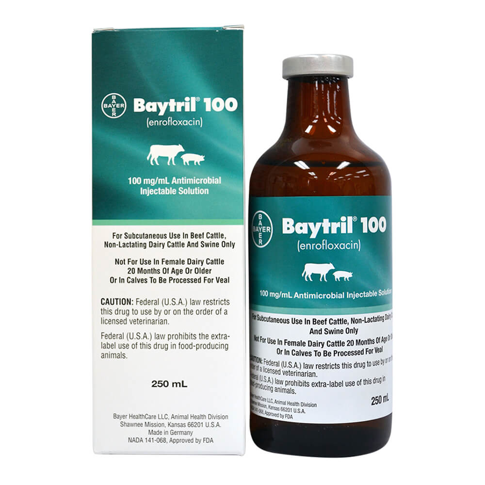 Rx Baytril 100 (enrofloxacin) 100mg/mL Antimicrobial Injectable Solution for Swine & Cattle - Pet's Shop
