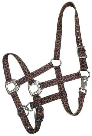 Showman Premium Nylon Halter - Pet's Shop