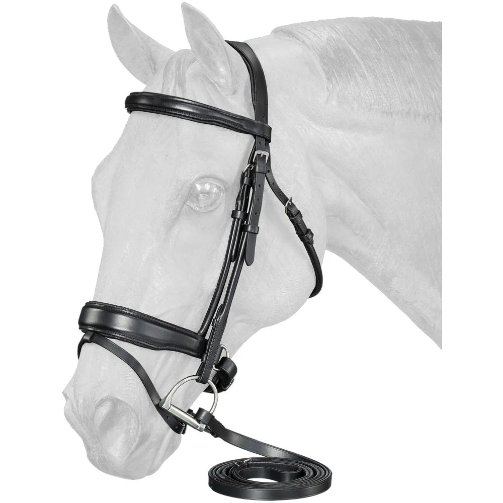 Equitare Cadence Dressage Bridle - Pet's Shop