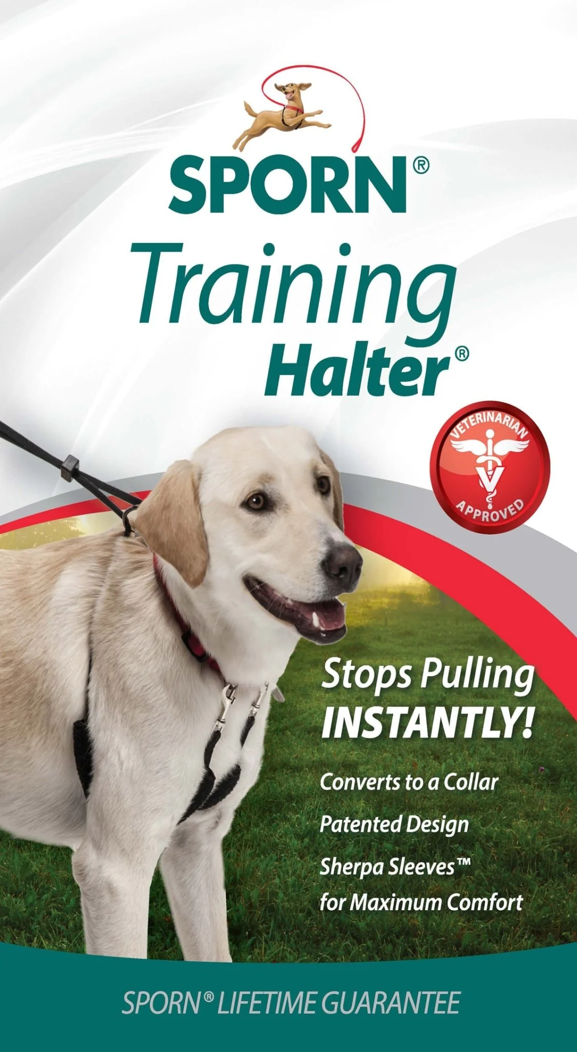 Original Sporn Training Halter, Blue - Pet's Shop