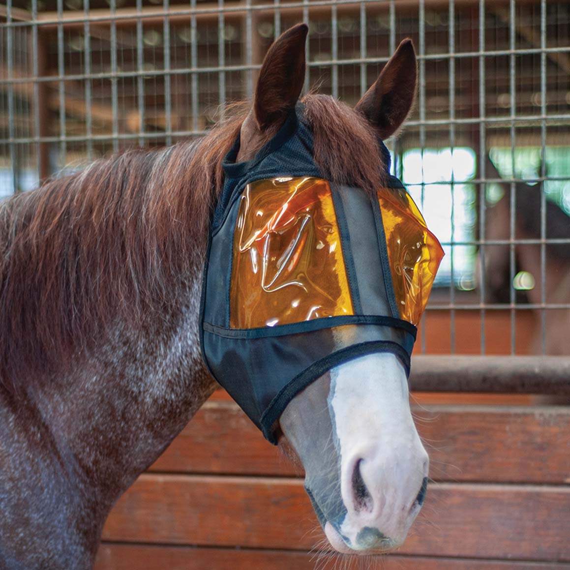 Classic Equine Restoration Equine Mask - Pet's Shop