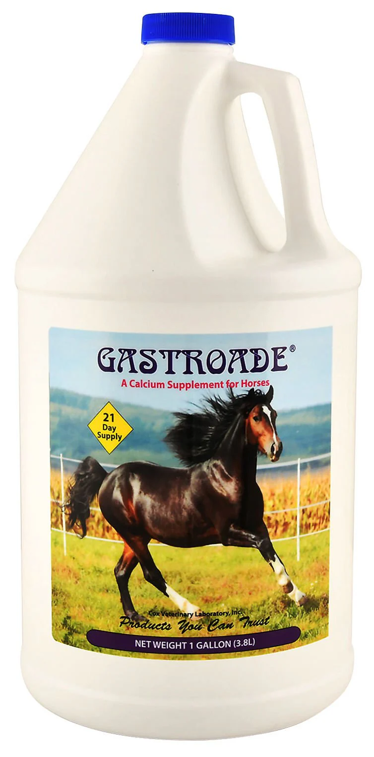 Gastroade Liquid GI Supplement for Horses - Pet's Shop