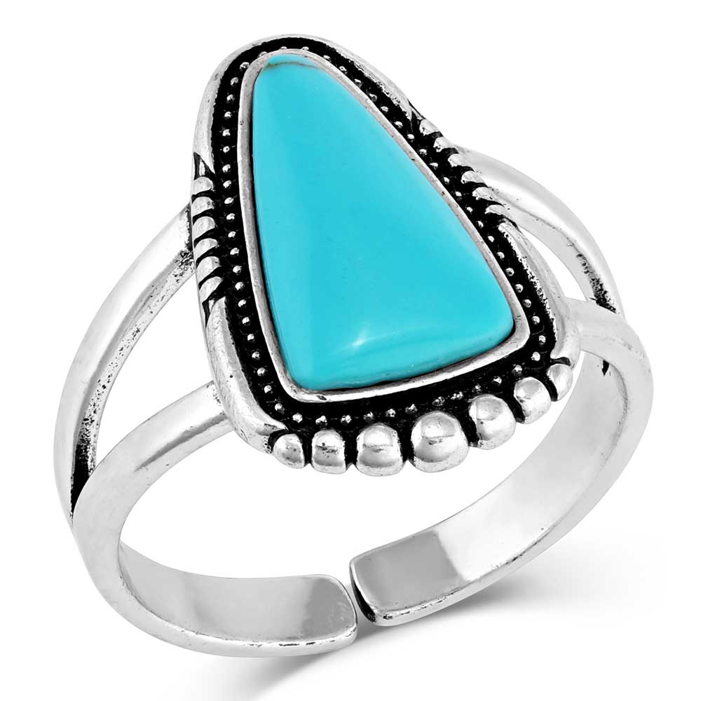 Ways of the West Turquoise Ring - Pet's Shop