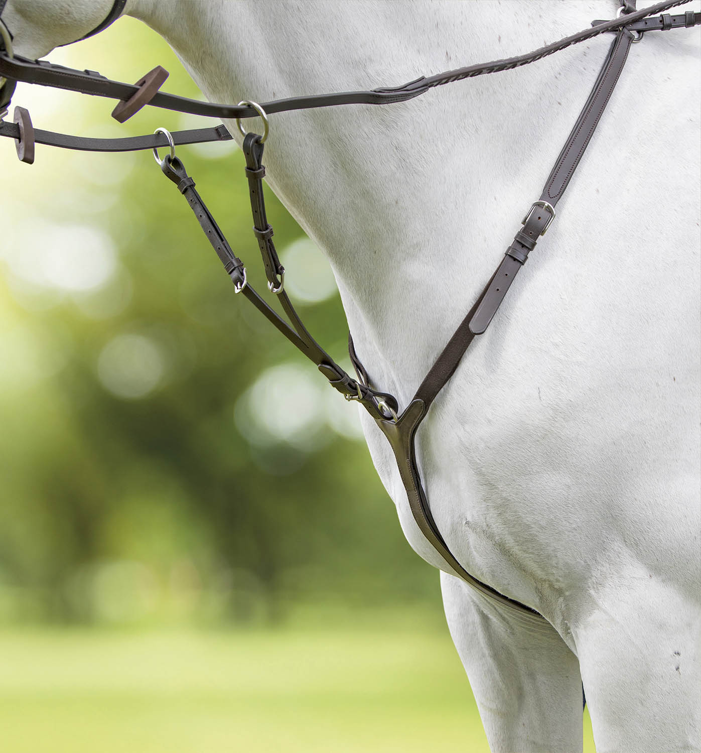 Velociti Rapida Breastplate - Pet's Shop