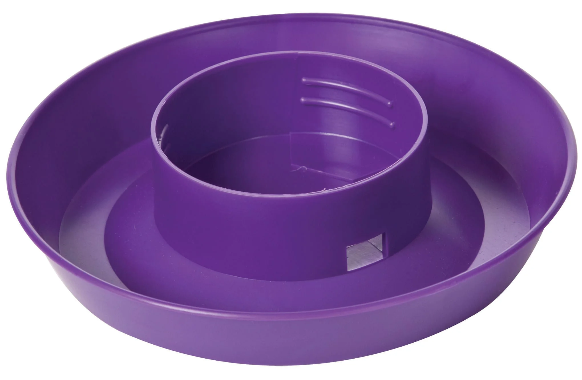 Little Giant Color Chick Waterer Base, Quart - Pet's Shop