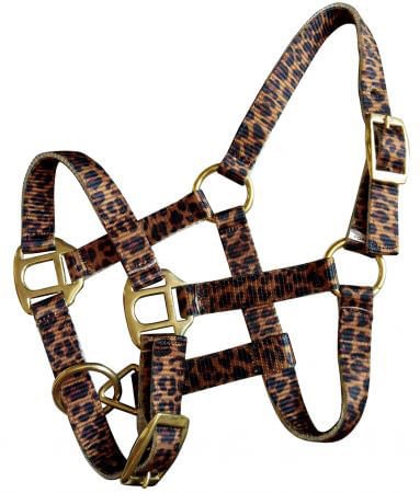 Showman Mini Halter in Patterns - Pet's Shop