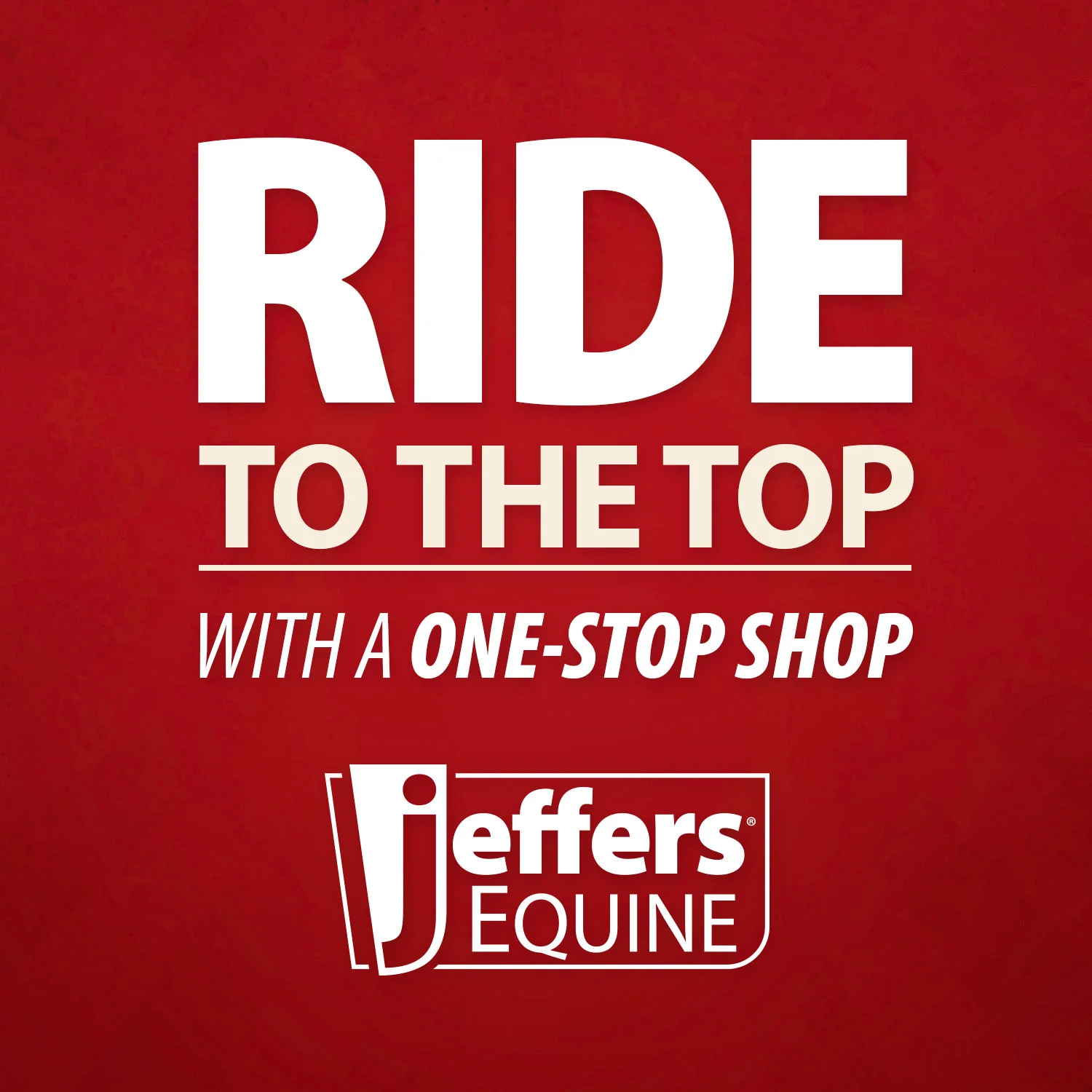 Expression Standard Neck Fleece Horse Cooler, Party Cheetah - Pet's Shop