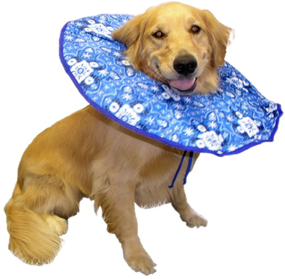 Soft E Dog Collar, XL, 75-95 lbs - Pet's Shop