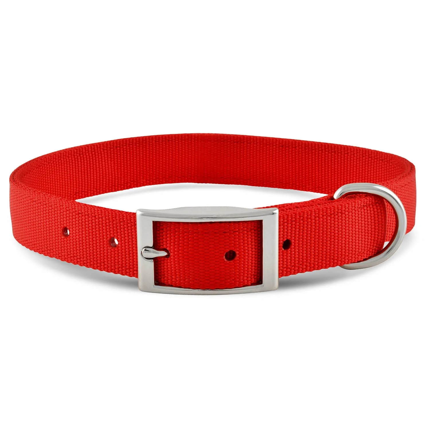 Web Nylon Durable Dog Collars, 1