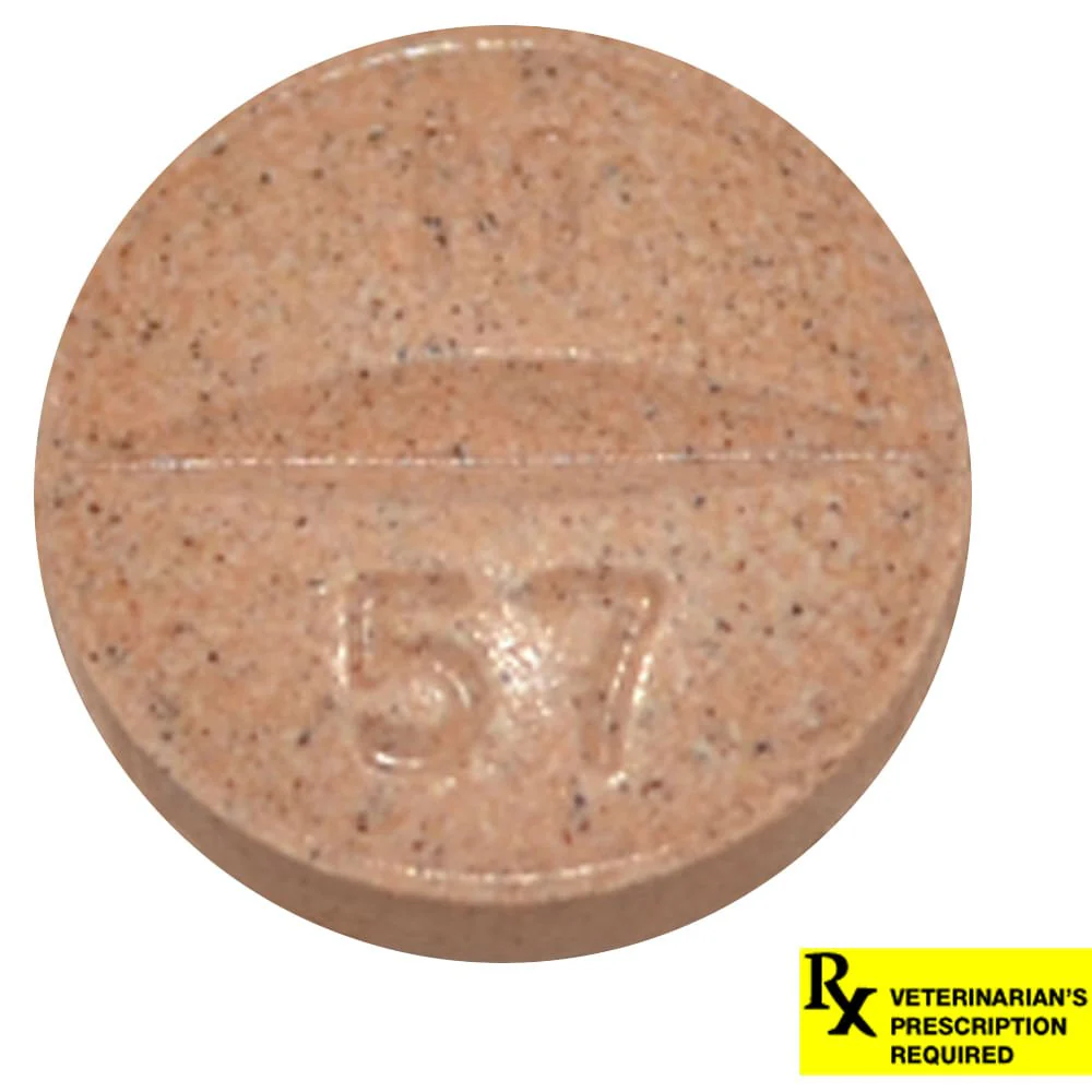 Rx Previcox (firocoxib) Chew Tabs for Dogs - Pet's Shop