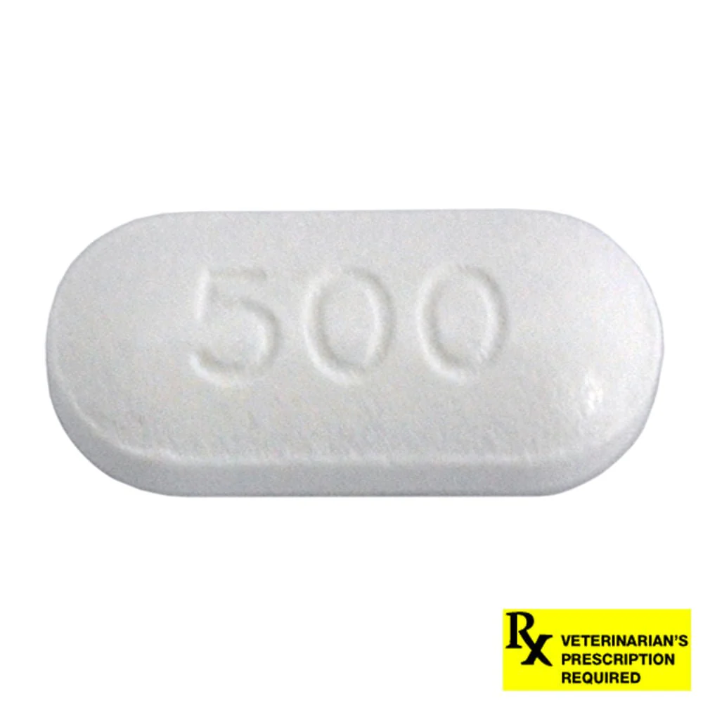 Rx Ciprofloxacin HCl (Generic) Tablets for Dogs & Cats - Pet's Shop